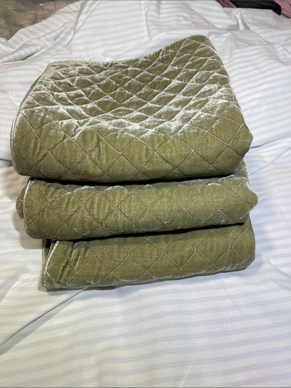 NWOT BELLA NOTTE silk and quilted velvet EURO SHAMS SAND  set of 2 - Picture 9 of 9